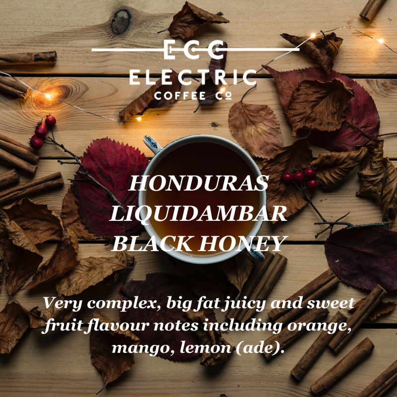 Honduras Liquidambar - Black Honey Process