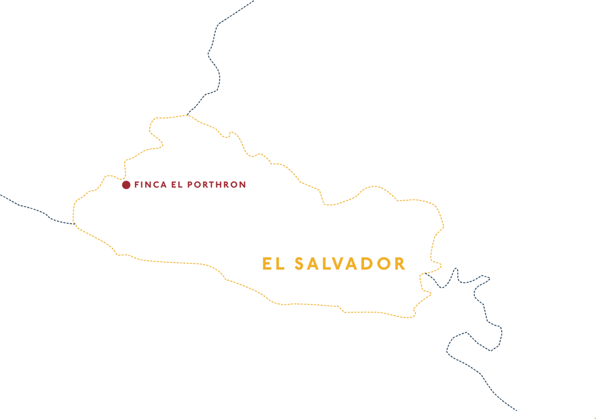 El Salvador Finca El Porthron