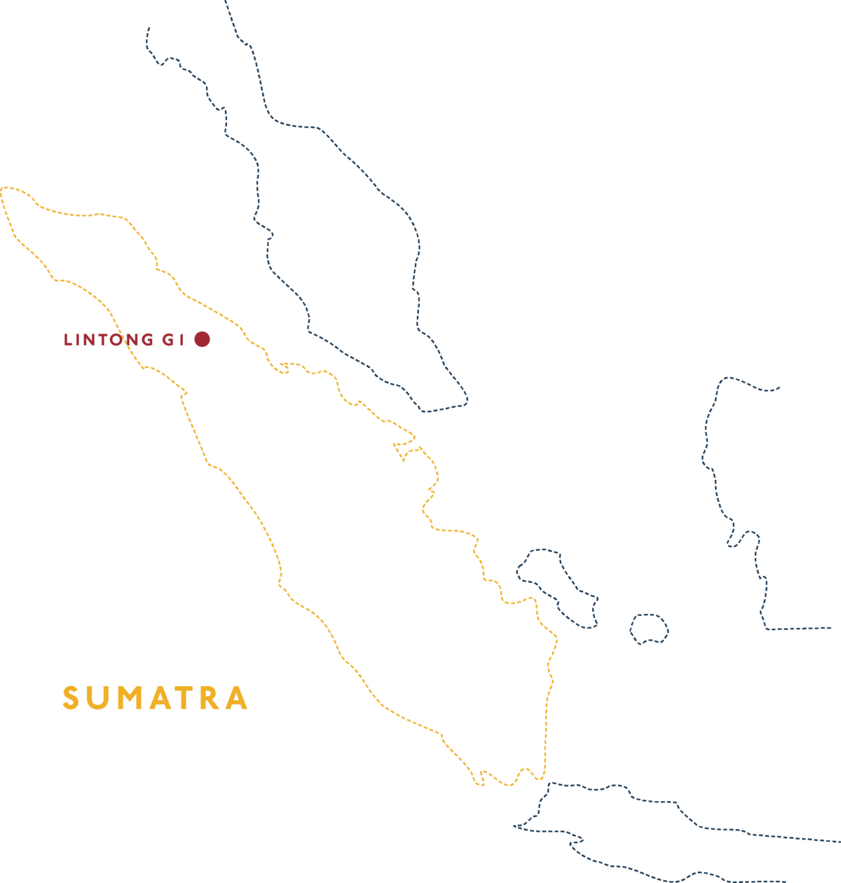 Sumatra Lintong G1