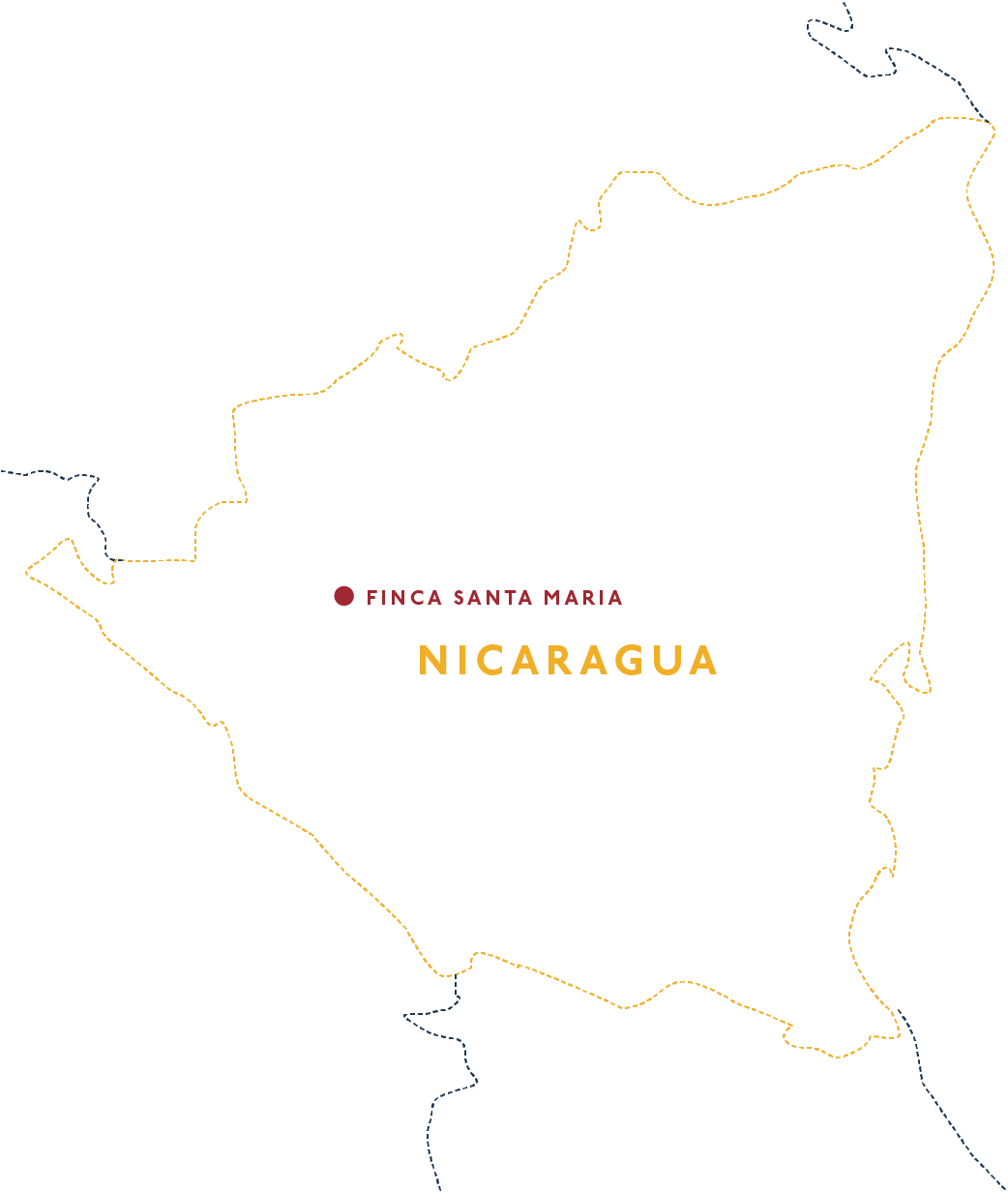Nicaragua Finca Santa Maria